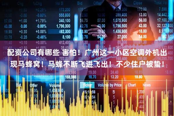 配资公司有哪些 害怕！广州这一小区空调外机出现马蜂窝！马蜂不断飞进飞出！不少住户被蛰！